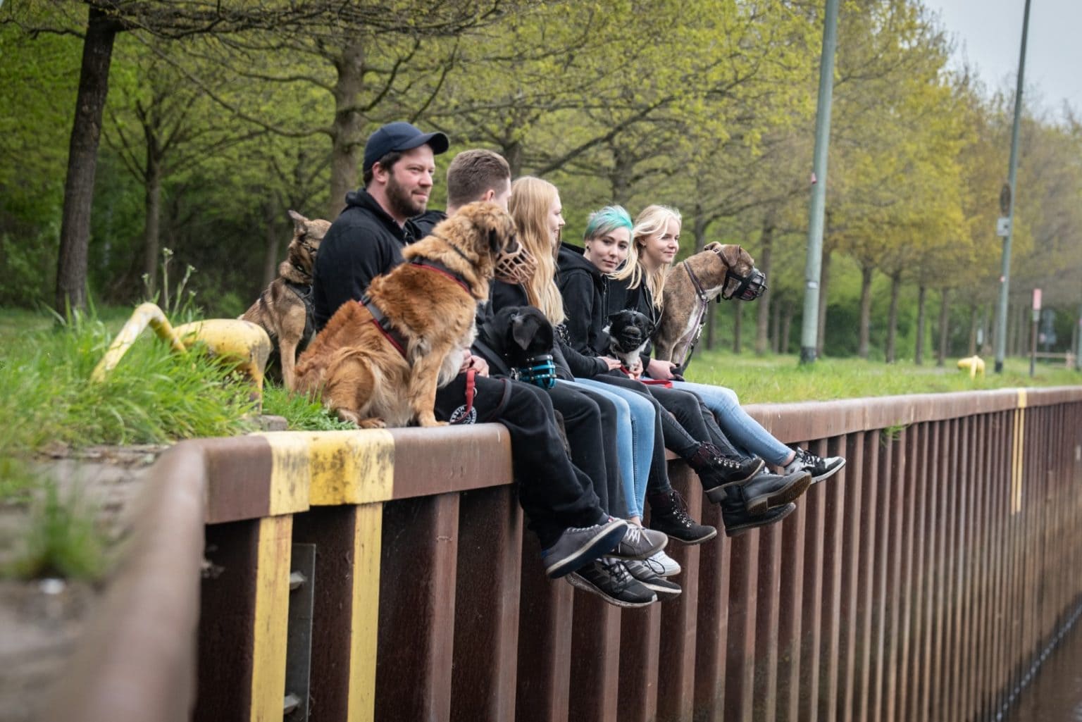 Das Tierheim Tierheim Oldenburg