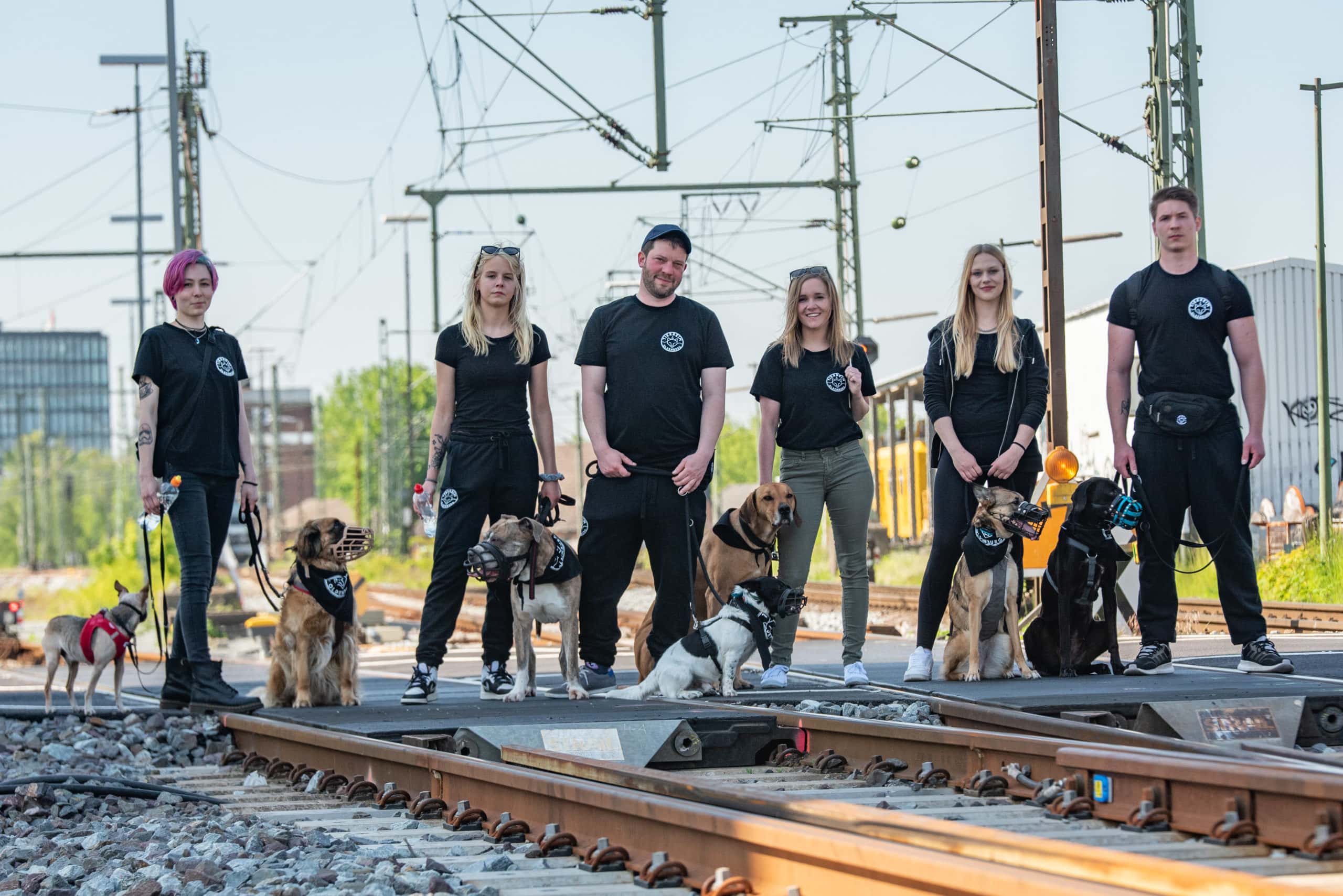 Job und Ausbildung Tierheim Oldenburg