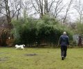 Bild zur Meldung Hundetraining für Casper