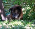 Bild zur Meldung Timo und sein Happy End