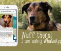 Bild zur Meldung Dein Tierheim + Dein Handy + Euer Bantu = ��