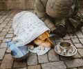 Bild zur Meldung ACHTUNG: Ãbernachtung für Hunde von Obdachlosen im Tierheim.