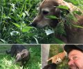 Bild zur Meldung HAPPY END!!!!!!  �� !!!! Trauerspiel oder Happy End?