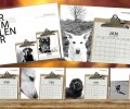Bild zur Meldung DIE KALENDER SIND DA!