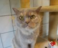 Bild zur Meldung Lilly und ihr Känguru