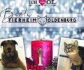 Bild zur Meldung Bantus 1. Advent