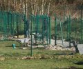 Bild zur Meldung Großbaustelle Tierheim... es wird!!