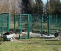 Bild zur Meldung Großbaustelle Tierheim... es wird!!