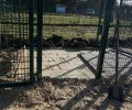 Bild zur Meldung Großbaustelle Tierheim... es wird!!