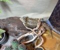 Bild zur Meldung Unsere Drachenhöhle