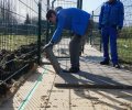 Bild zur Meldung 10. März - Die letzten Platten im Wirtschaftsgang.