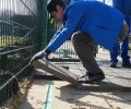 Bild zur Meldung 10. März - Die letzten Platten im Wirtschaftsgang.
