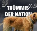 Bild zur Meldung Trümmis der Nation: Ein kleines Danke-Video
