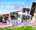 Bild zur Meldung Tierretterwochen - Heute: Bobby <3