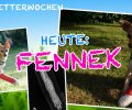 Bild zur Meldung Tierretterwochen - Heute: Fennek