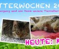 Bild zur Meldung Tierretterwochen - Heute: Kater Kalle <3
