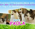 Bild zur Meldung Tierretterwochen - Heute: Paula