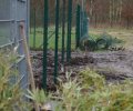 Bild zur Meldung Das Tierheimgelände erwacht aus dem Winterschlaf :-)