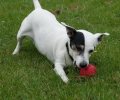 Bild zur Meldung Unsere Rentner-WG aus Dogsplace stellt sich vor :)