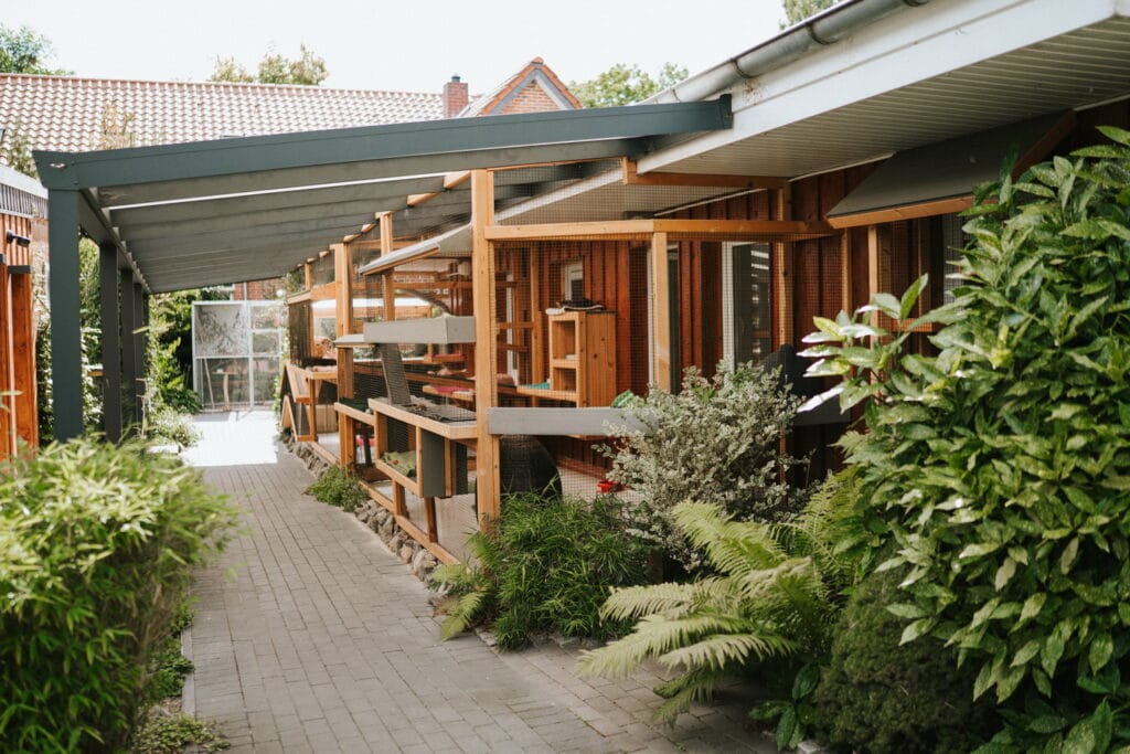 tierheim_2025-393