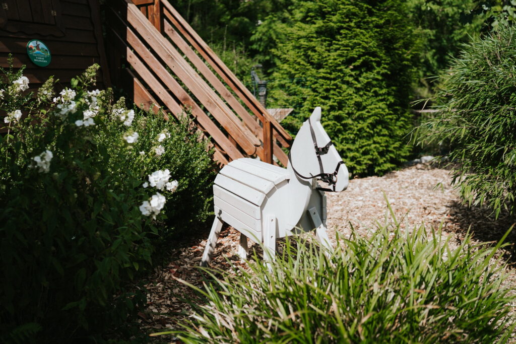 tierheim_2025-417