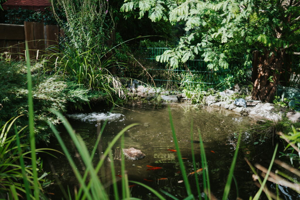 tierheim_2025-426