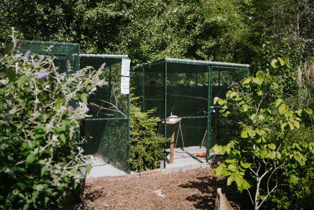 tierheim_2025-544